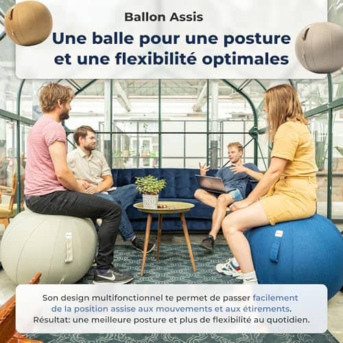 Vue detaillee 2 du produit Chaise ballon posture active antidérapante Backerz