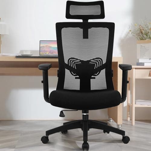 Chaise bureau ergonomique soutien lombaire Daccormax