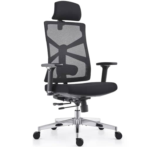 Photo du produit Chaise de bureau soutien lombaire adaptable HOLLUDLE