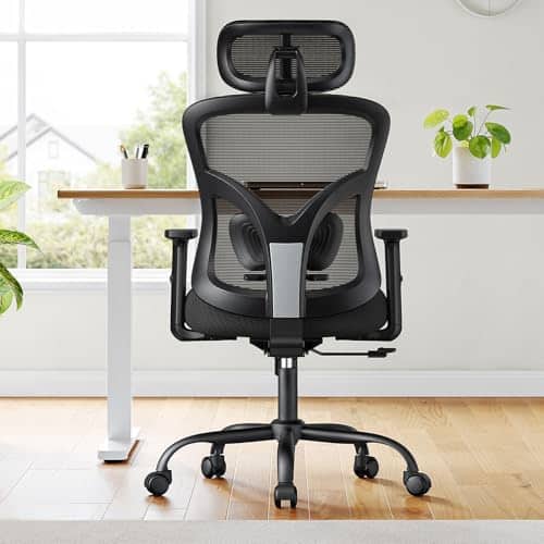 Vue detaillee 1 du produit Chaise de bureau confort lombaire inclinable NOBLEWELL