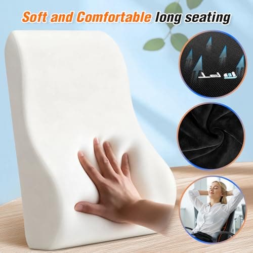 Coussin de soutien lombaire ergonomique POOTACK