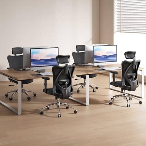Vue detaillee 1 du produit Chaise de bureau ergonomique soutien lombaire SIHOO
