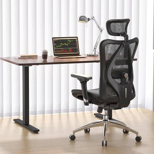 Vue detaillee 1 du produit Chaise de bureau soutien lombaire ergonomique SIHOO